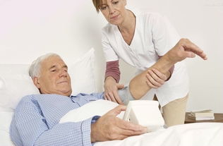 保潔用品與設備市場概覽 品牌、價格與環保趨勢